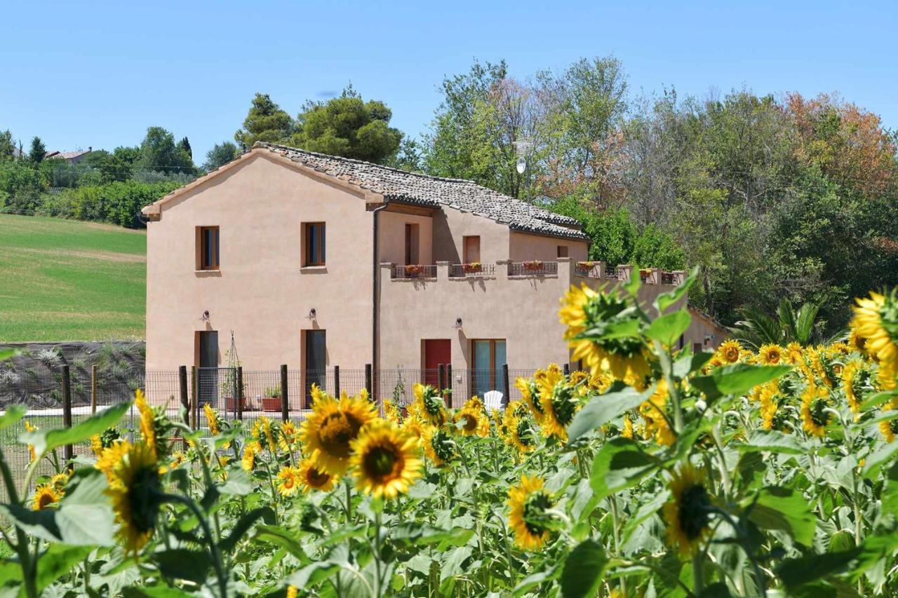 Casa Montefiore 13 Iris Lt Nella Tranquilla Campagna Marchigiana Ancona Bagian luar foto